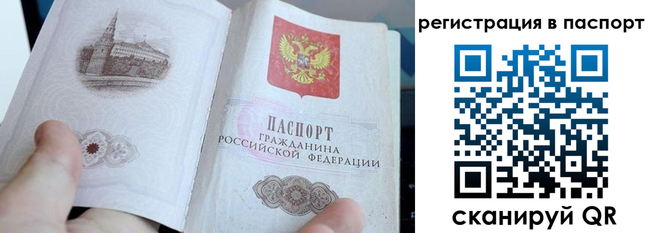 пропишу в квартире в Выборге